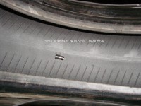 /album/%e7%9b%b8%e9%97%9c%e7%85%a7%e7%89%87/dsc00299-jpg1/