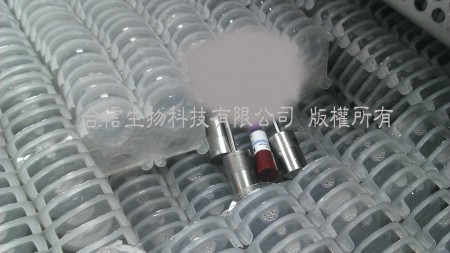 隱形眼鏡熱分佈及熱穿透測試