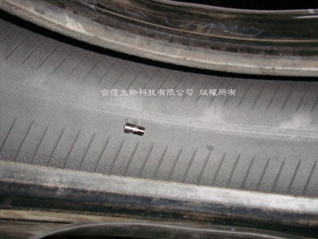 輪胎硫化溫度監測